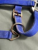 Licol combin&eacute; plat et corde &eacute;thologique &eacute;quitation  Ble