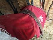 enssemble complet CWD SE02 (2018)17" sangle+Etrivieres