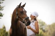 Licol en cuir Glamour - HKM - D&eacute;tails en strass