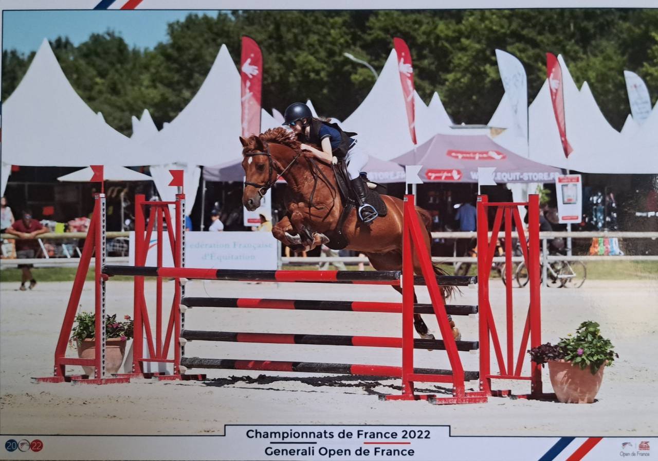 DP poney de sport