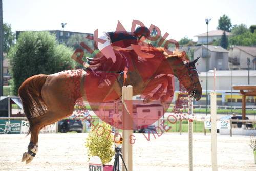  Super cheval d&rsquo;exp&eacute;rience 