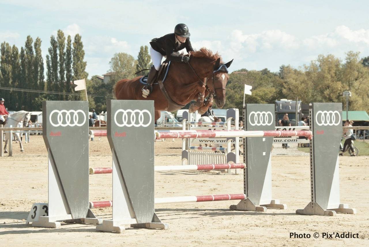  Super cheval d&rsquo;exp&eacute;rience 