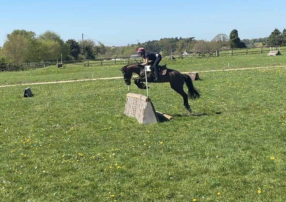 Lusitanien PP - Id&eacute;al CCE