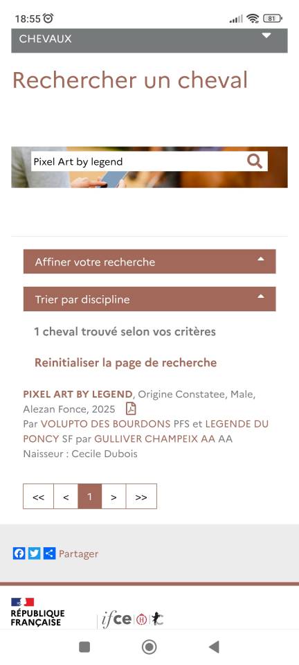 Poulain 1 an SF x PFS