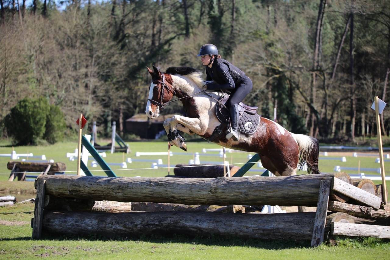 Jeune cheval de 4ans 