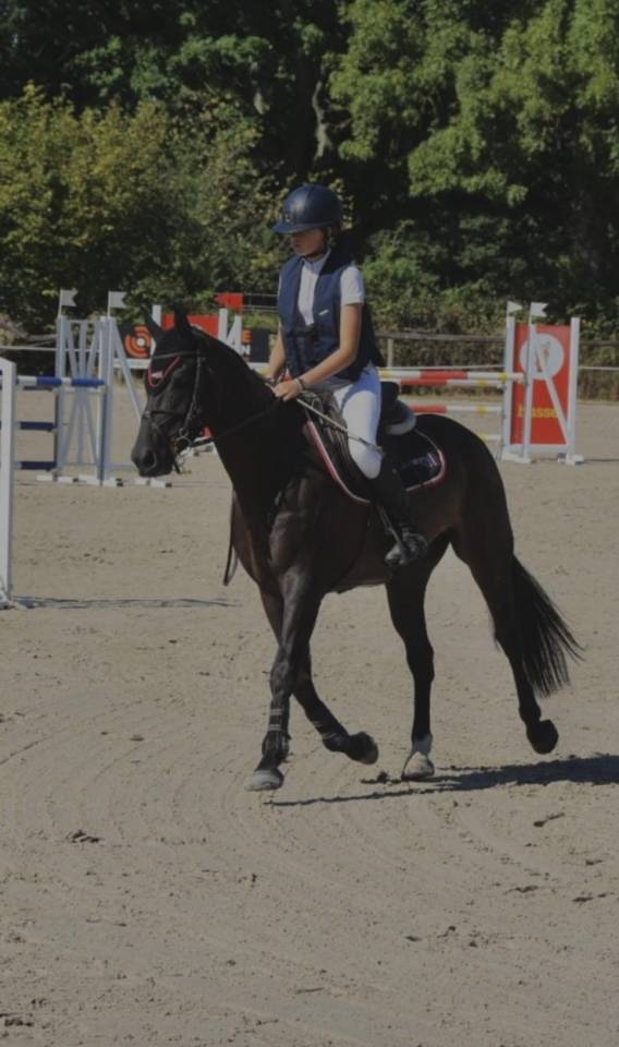 Jument 10 ans &agrave; remettre en route