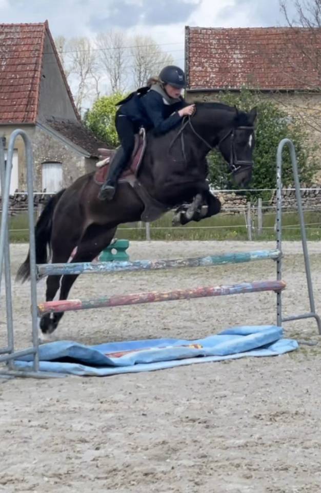 Jument 10 ans &agrave; remettre en route