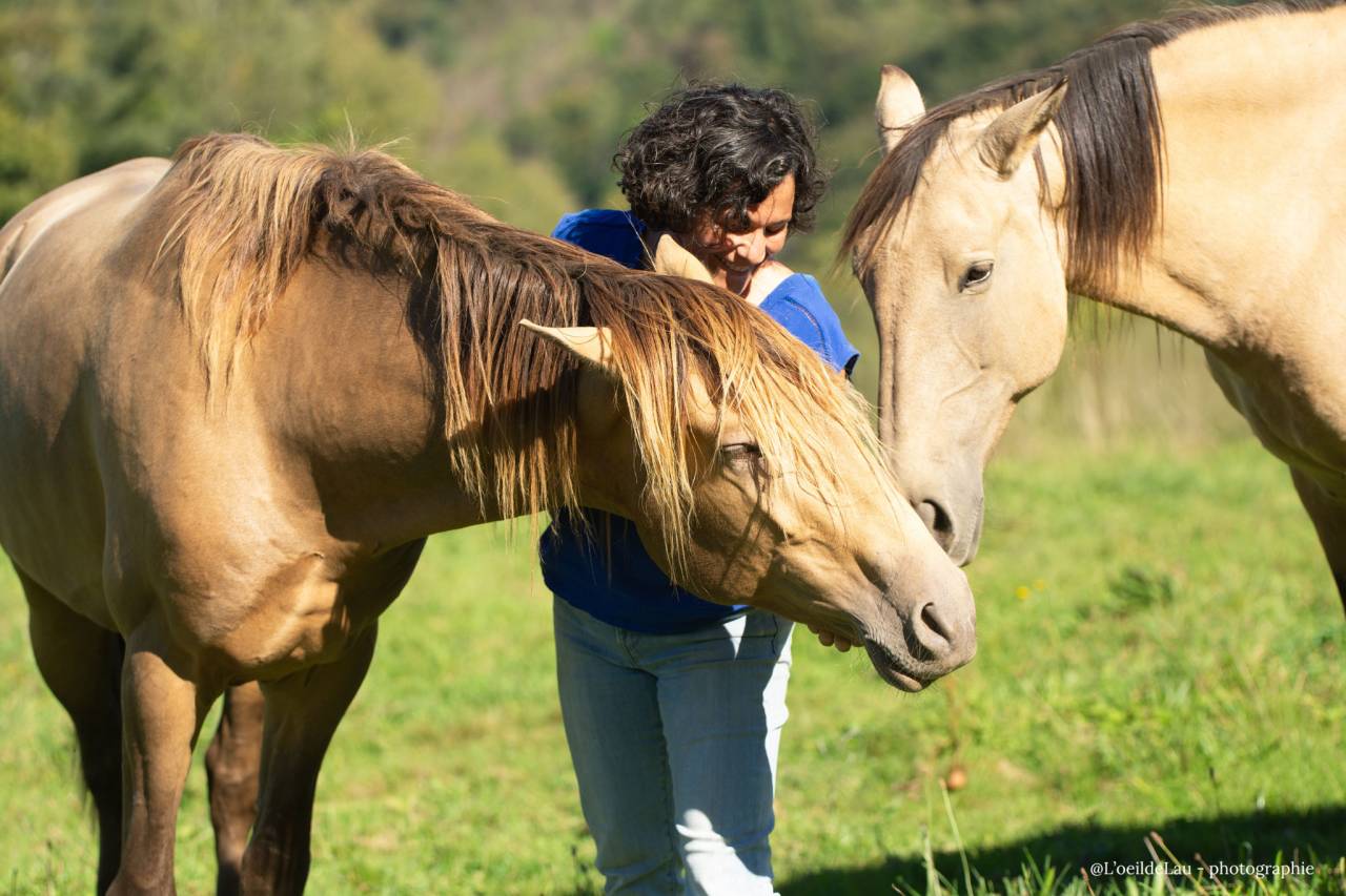 Etalon Lusitanien, Double pearl