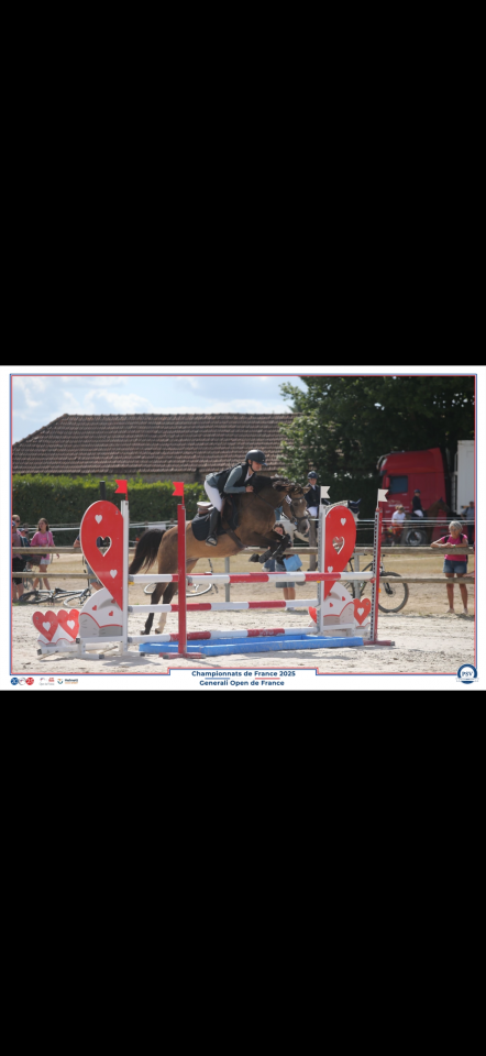 Poney &agrave; louer Galinka Lakshmi 