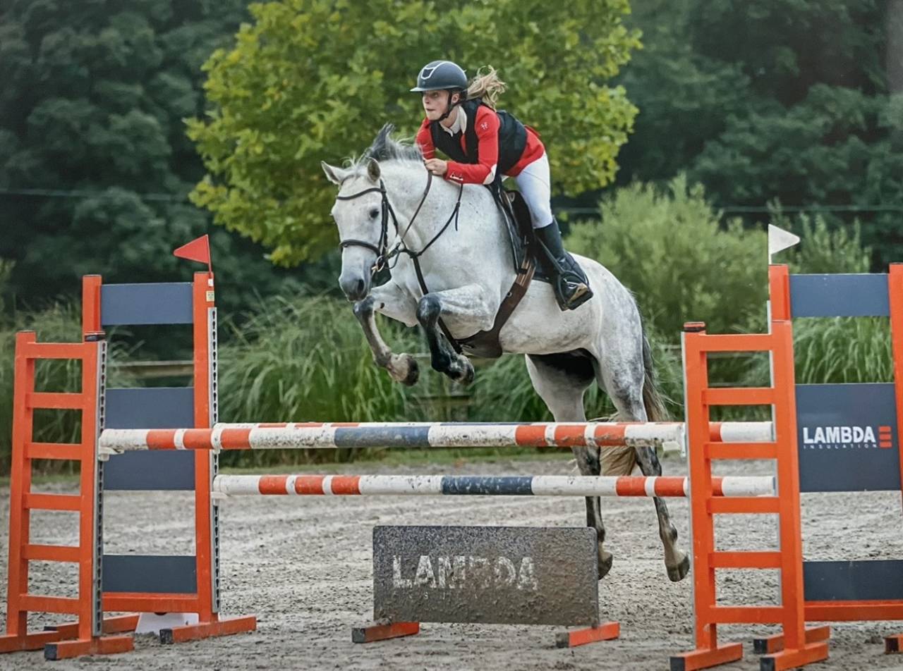 A vendre - Jument Zangersheide - 10 ans 