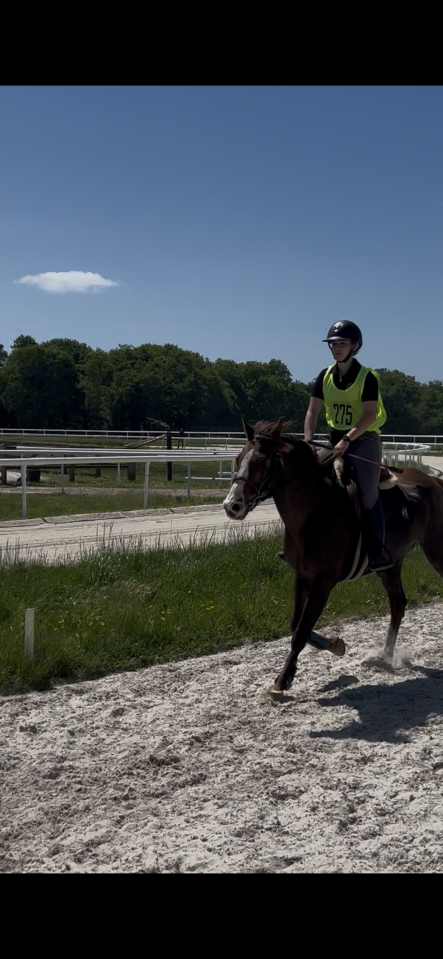 Jument PS loisir randonn&eacute;e 