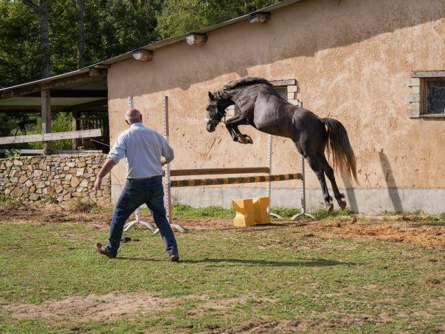 Vente Diminution d'effectif