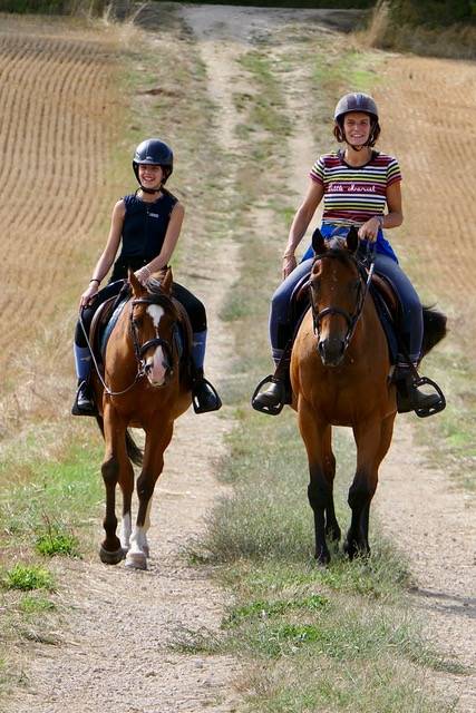 Vends jument PS 11 ans 