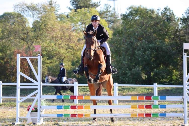 Vends jument PS 11 ans 