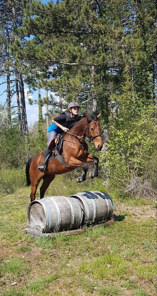 Vends jument PS 11 ans 