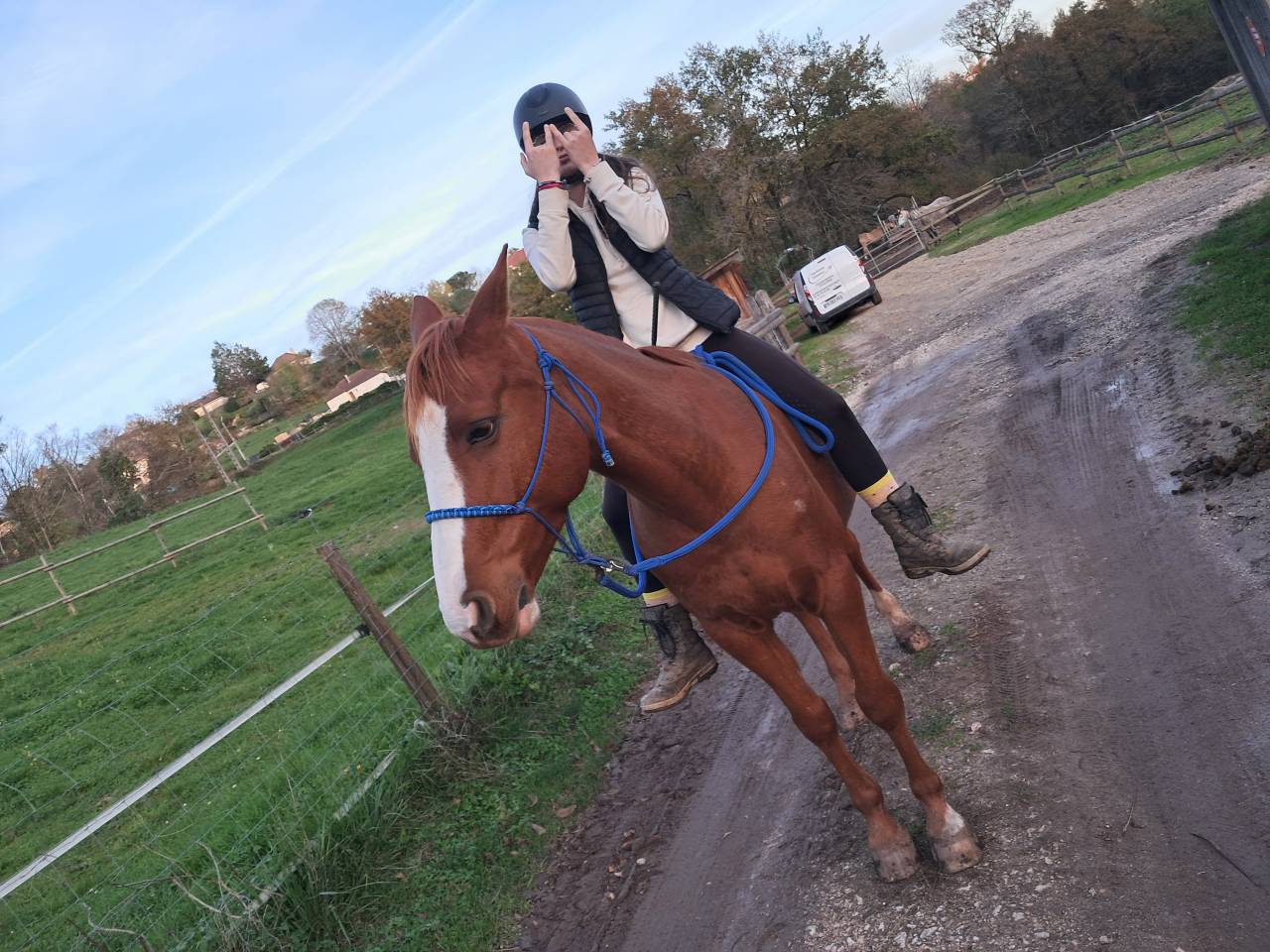 Hongre 10 ans Alezan