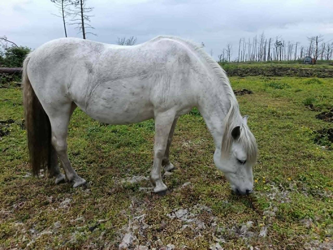 A vendre pour pr&eacute; retraite