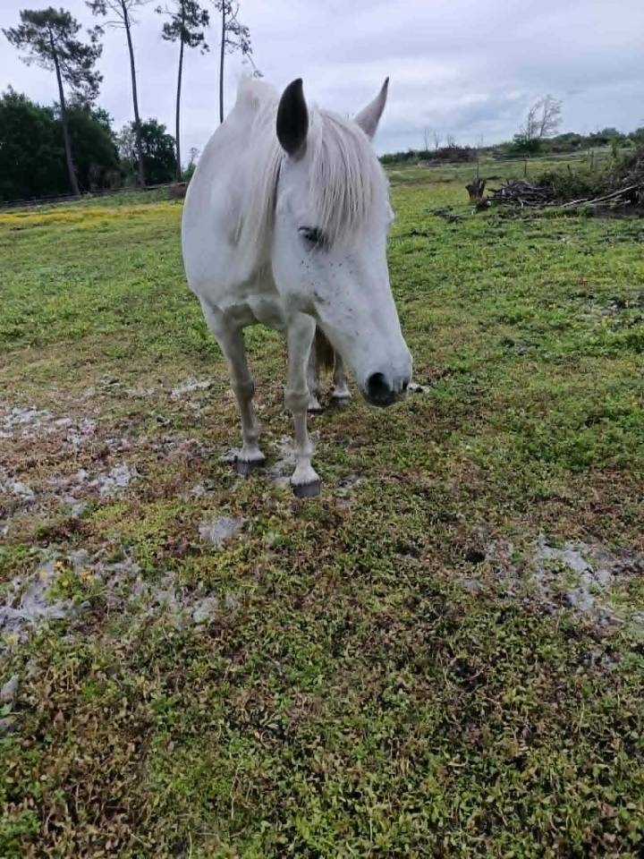 A vendre pour pr&eacute; retraite