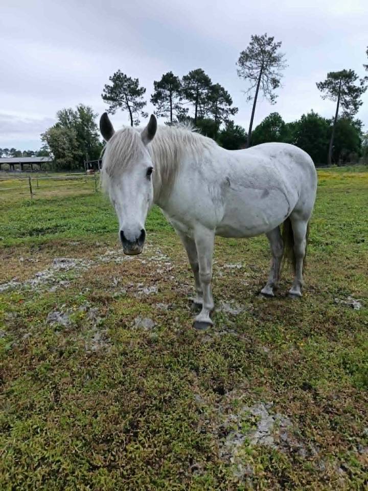 A vendre pour pr&eacute; retraite