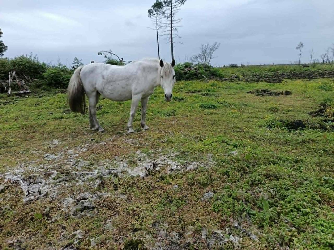 A vendre pour pr&eacute; retraite