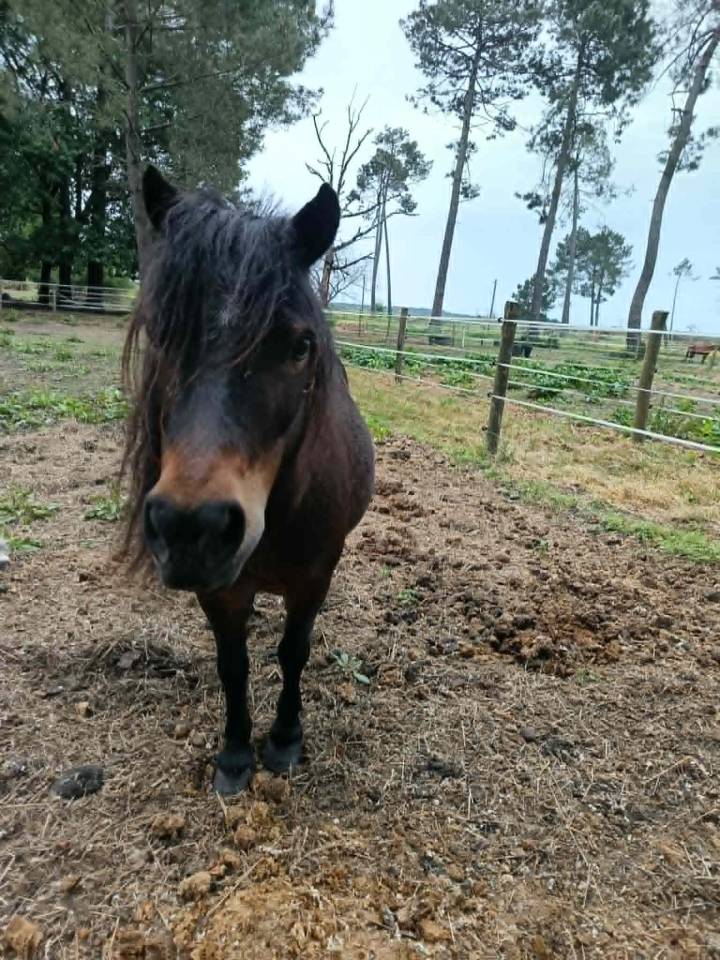 A vendre pour pr&eacute; retraite