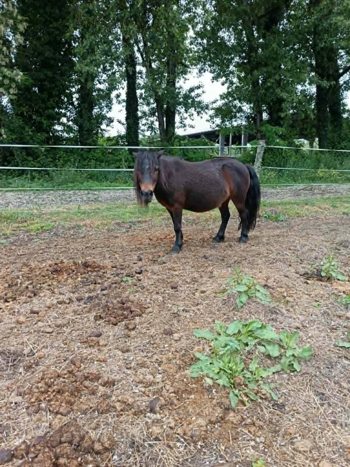 A vendre pour pr&eacute; retraite