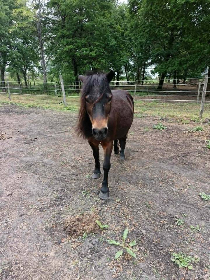 A vendre pour pr&eacute; retraite