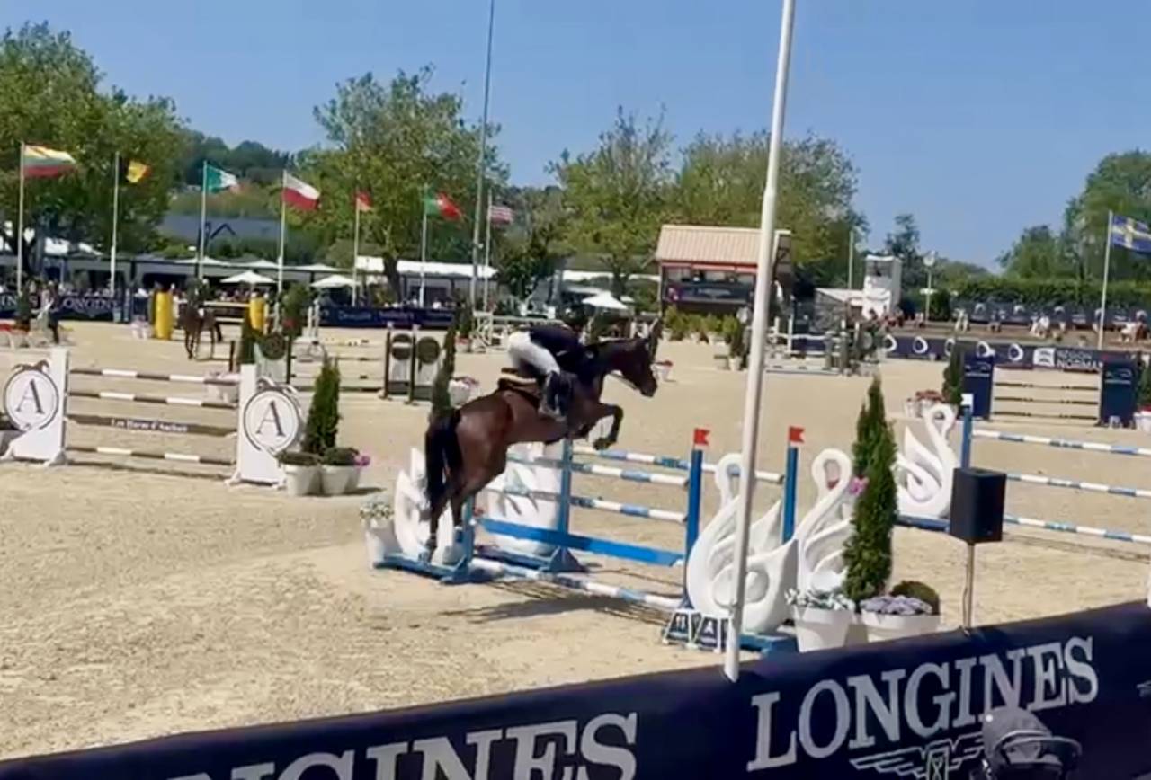 Jument sf exp&eacute;rience pro1 