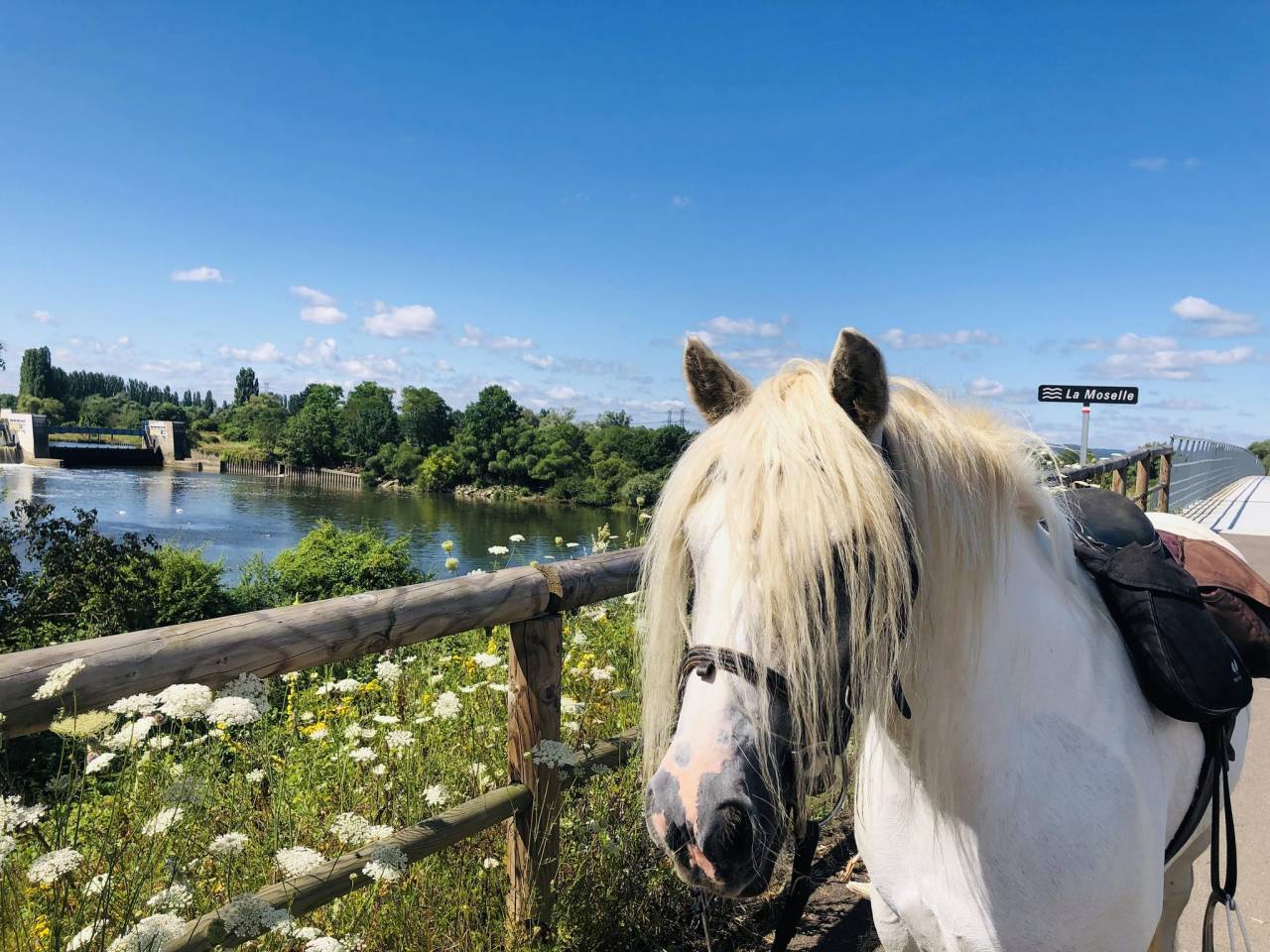 Randonn&eacute;e &agrave; cheval en moselle - Breistroff-La-Grande