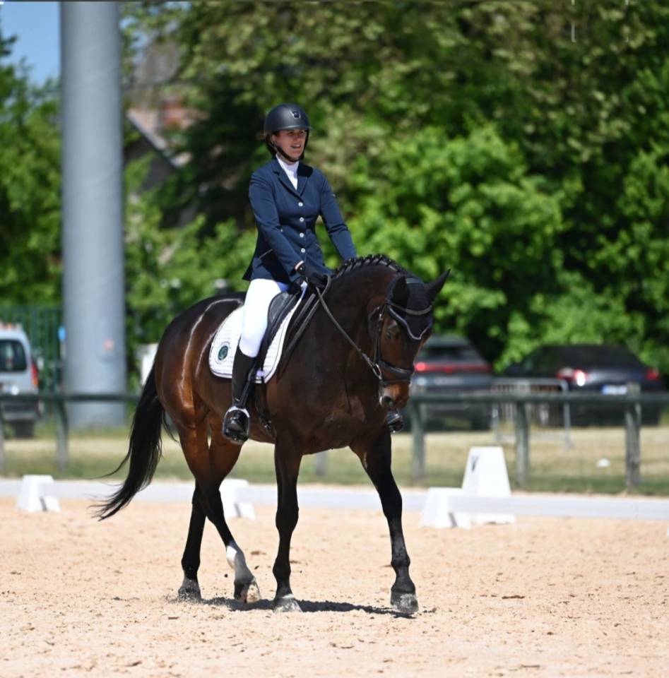 Jument porteuse SF 10 ans