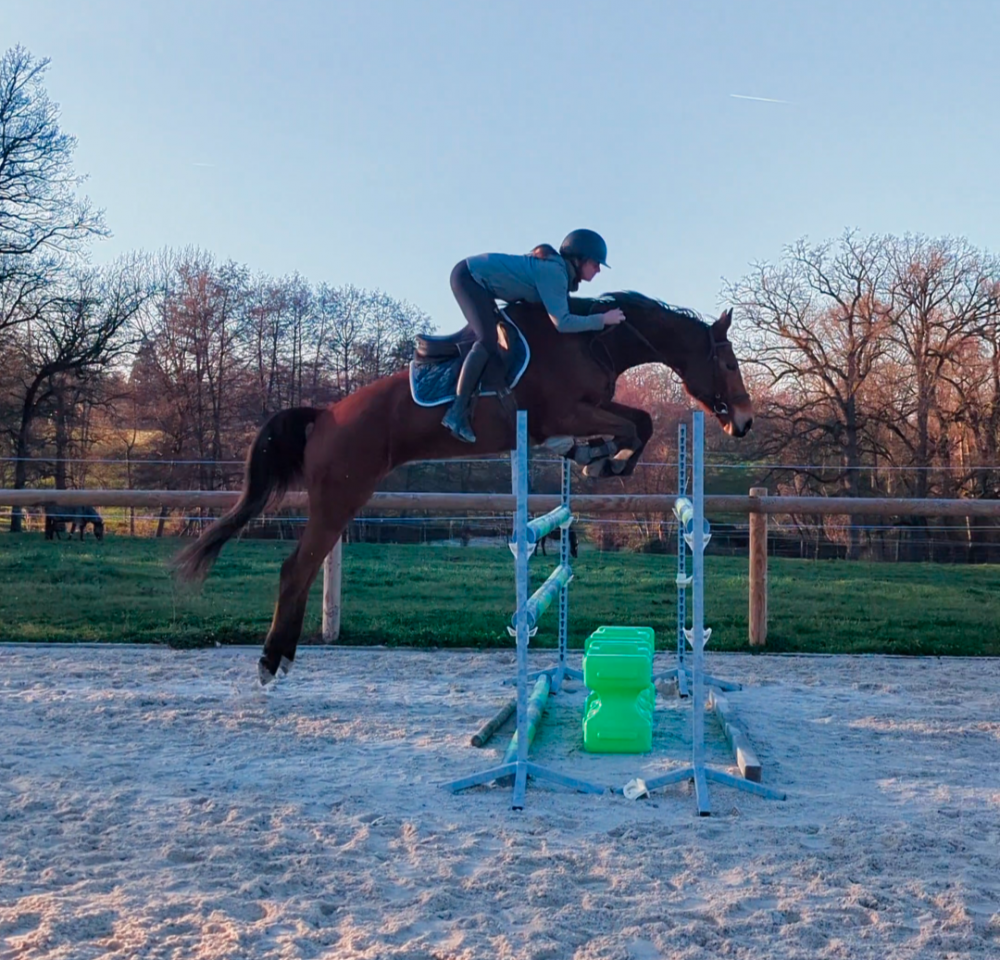 Jument - 7ans - CSO HUNTER CCE