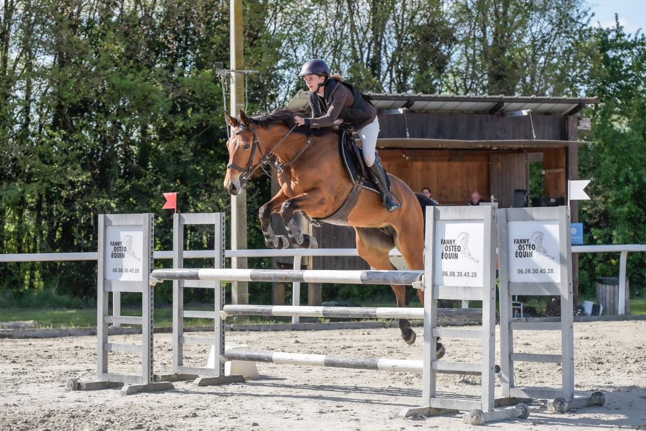 Jument - 7ans - CSO HUNTER CCE