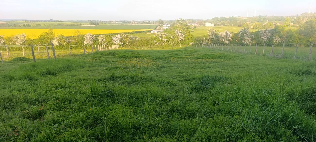 Propri&eacute;t&eacute; &eacute;questre sur pr&egrave;s de 4ha