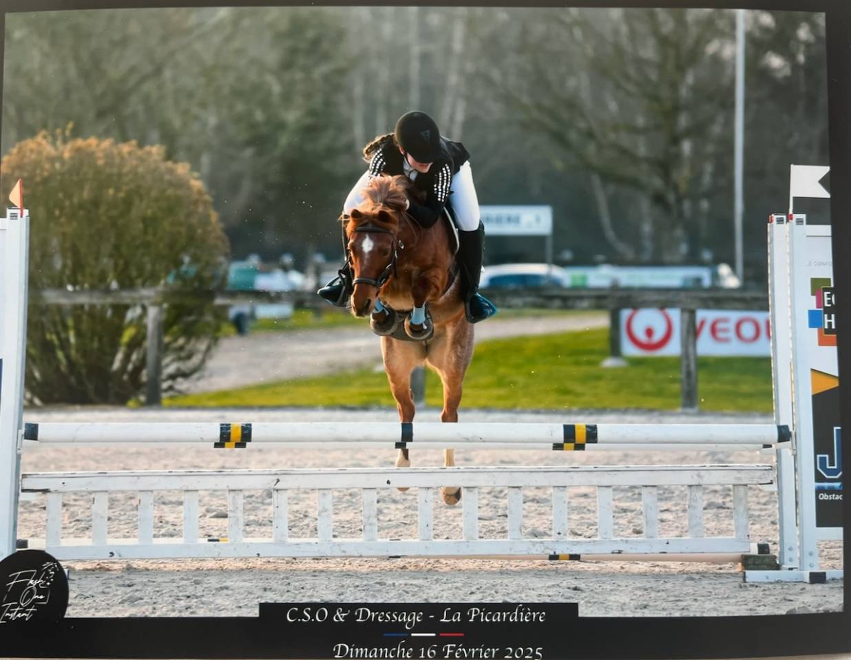 Super Ponette 1,26m 2015 recherche son ou sa cavali&egrave;re