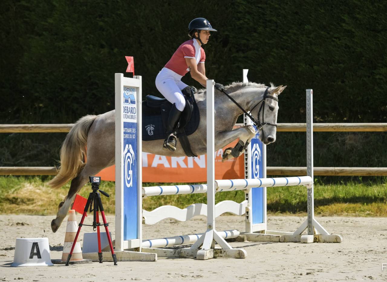 Poney de sport et loisirs