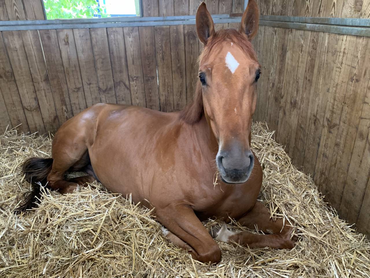 6 ans &agrave; vendre