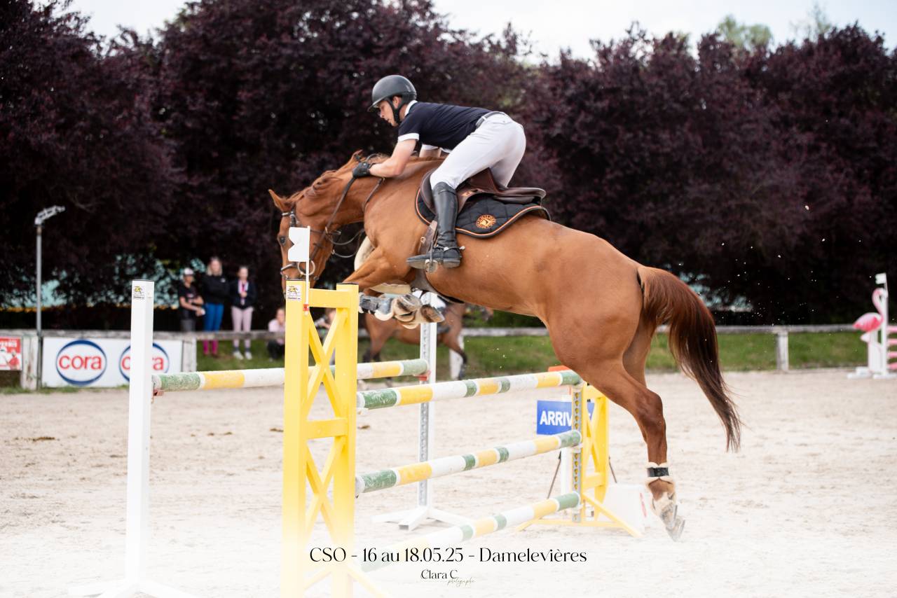 6 ans &agrave; vendre