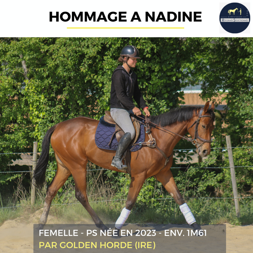 HOMMAGE A NADINE - PS - 3 ANS