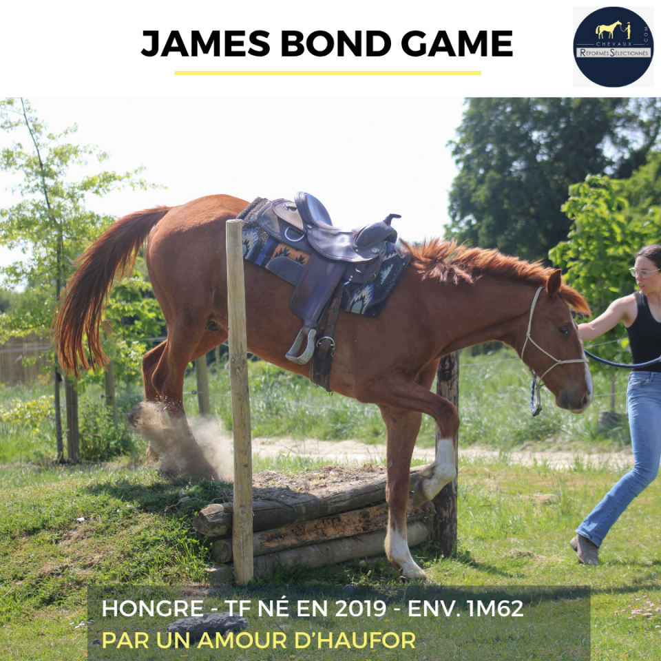 JAMES BOND GAME - TF - 7 ANS