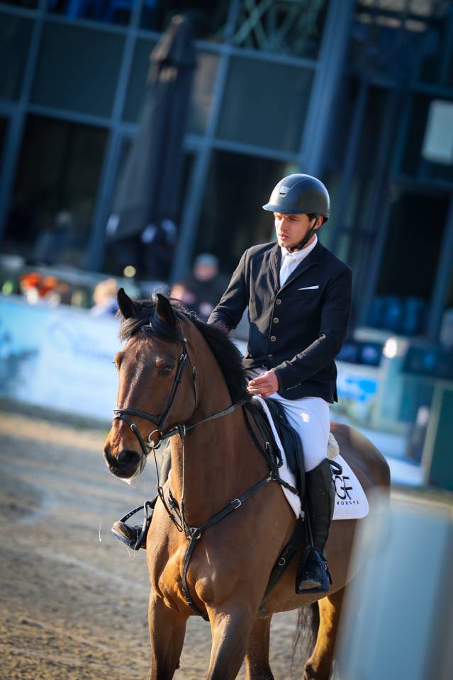 Cheval de 11 ans &agrave; vendre 