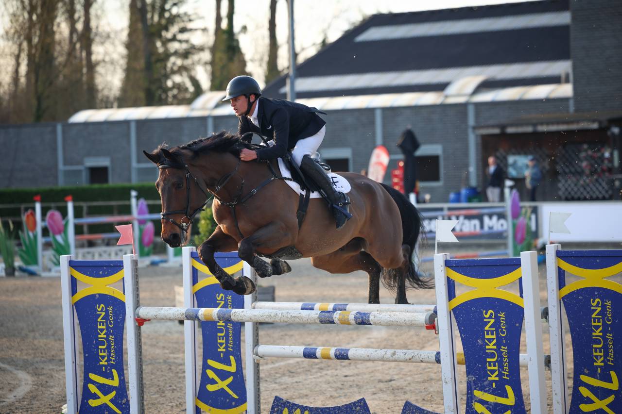 Cheval de 11 ans &agrave; vendre 