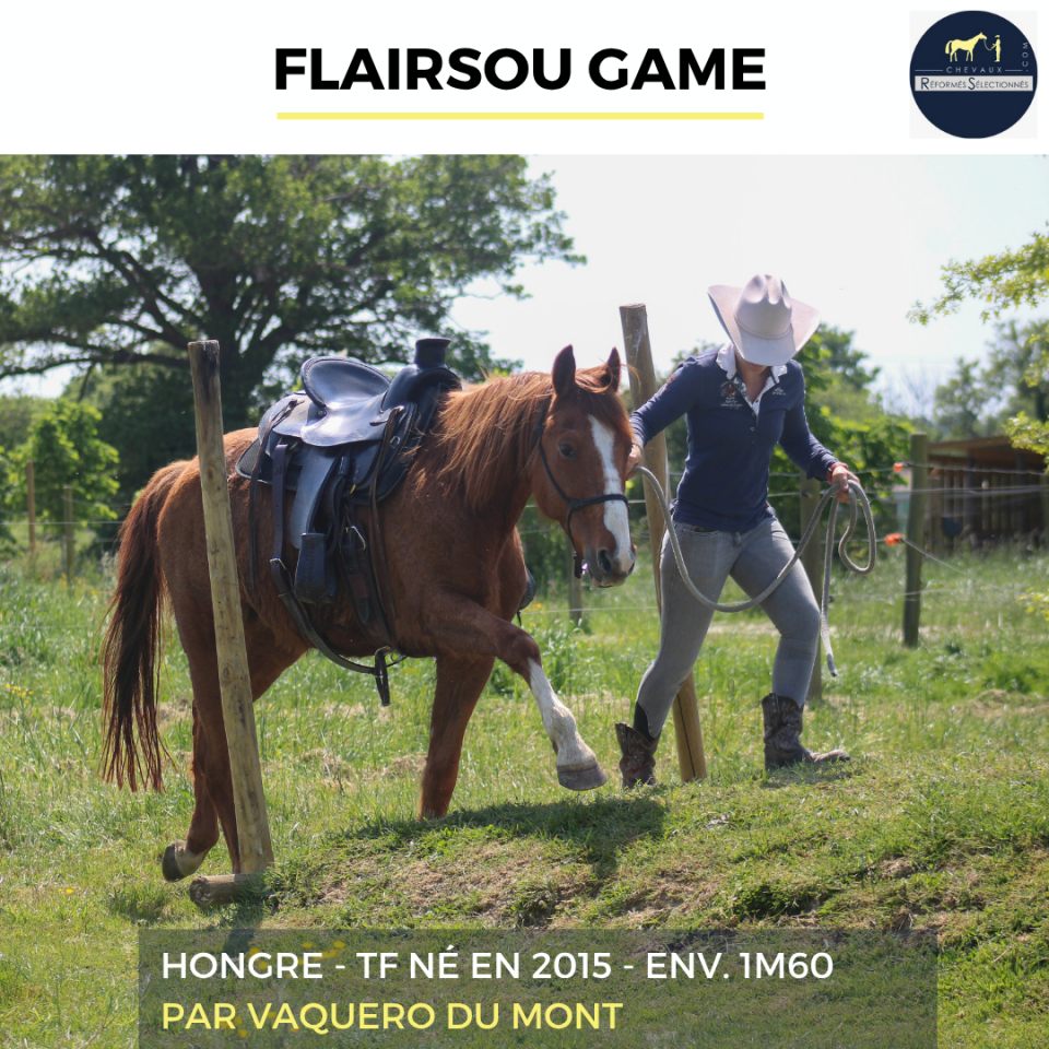 FLAIRSOU GAME - TF - 11 ANS