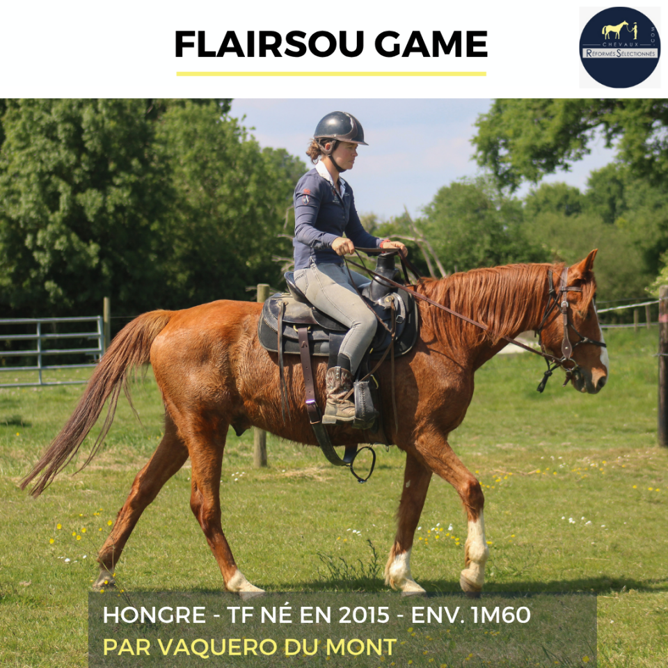 FLAIRSOU GAME - TF - 11 ANS
