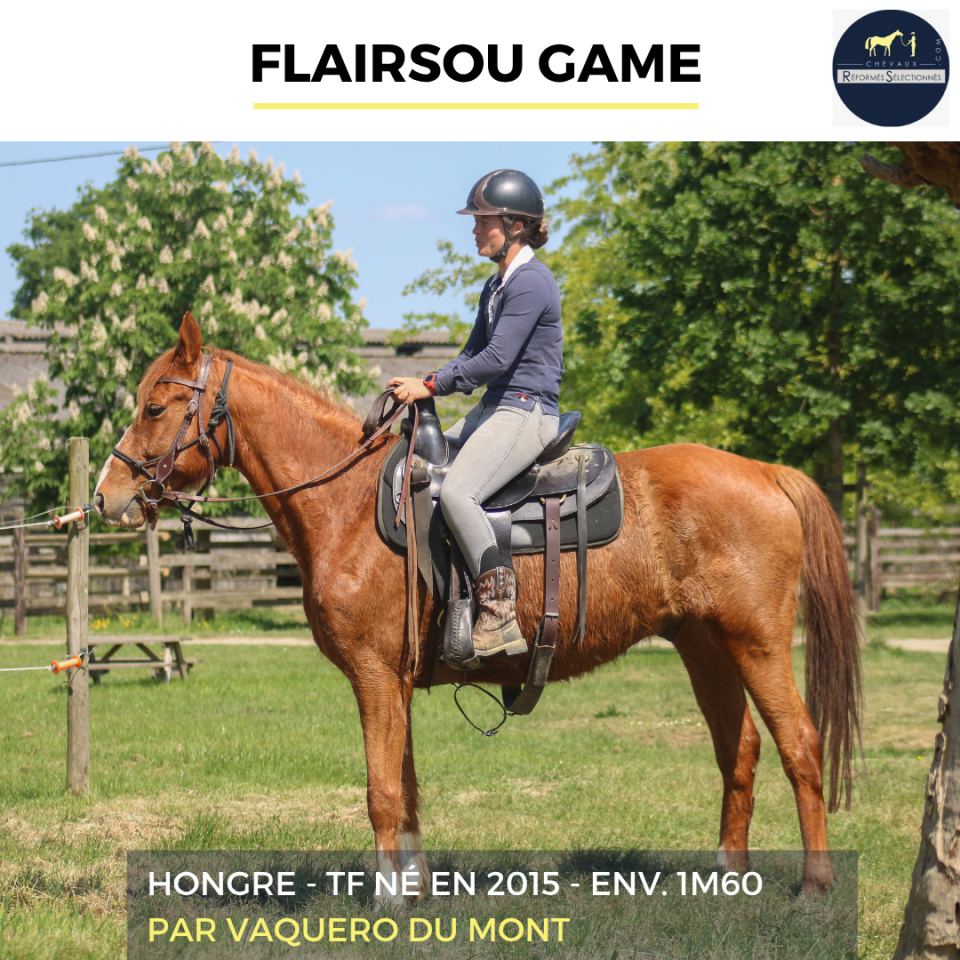 FLAIRSOU GAME - TF - 11 ANS