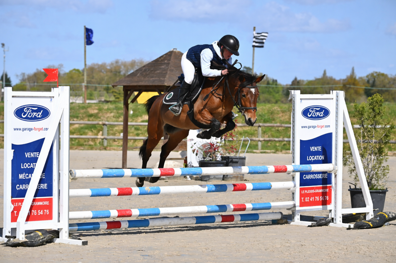 Ponette &agrave; vendre mahona de borane 4 ans 
