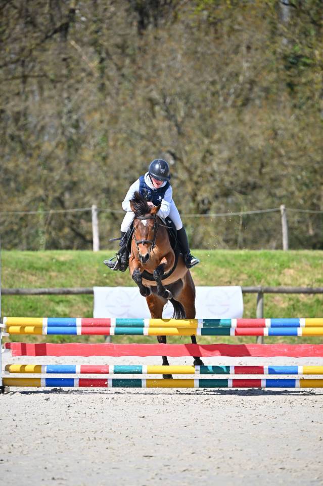Ponette &agrave; vendre mahona de borane 4 ans 