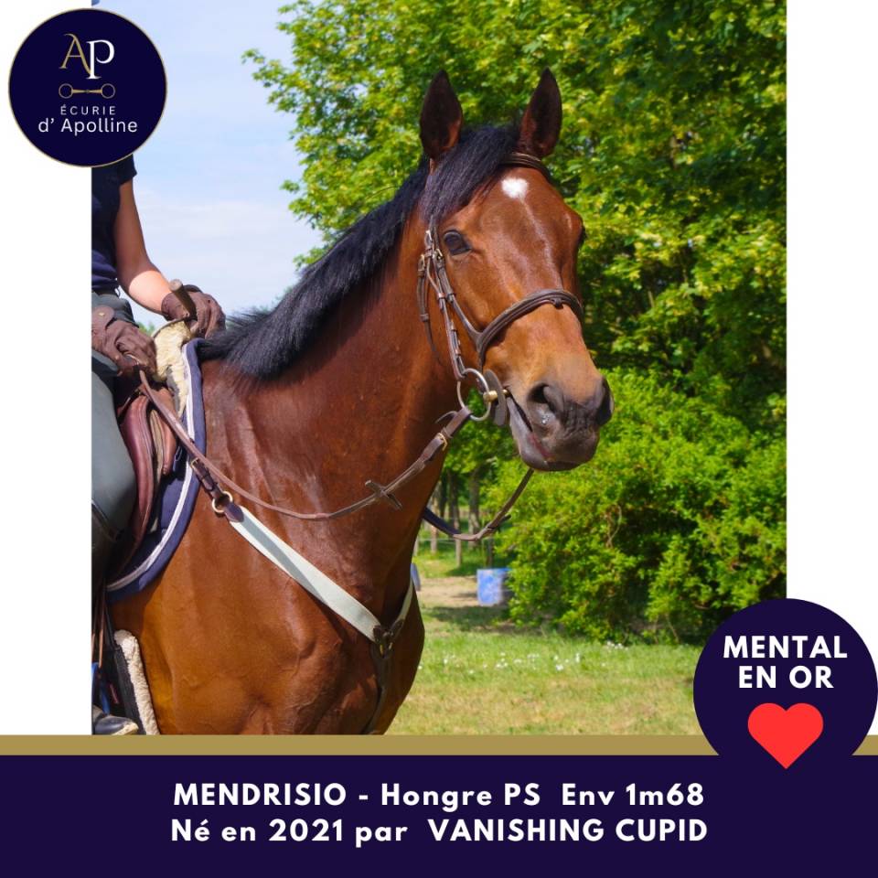 5 ans env 1m68 magnifique et top mental