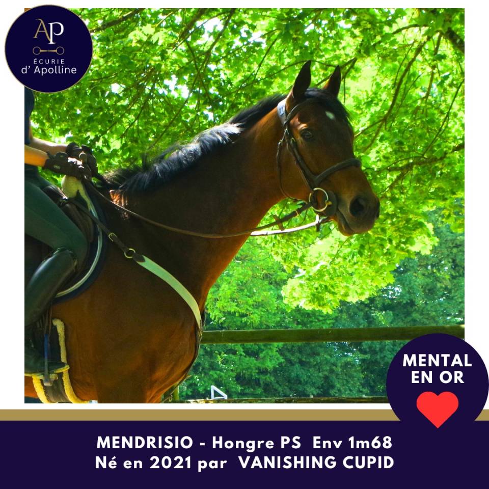 5 ans env 1m68 magnifique et top mental