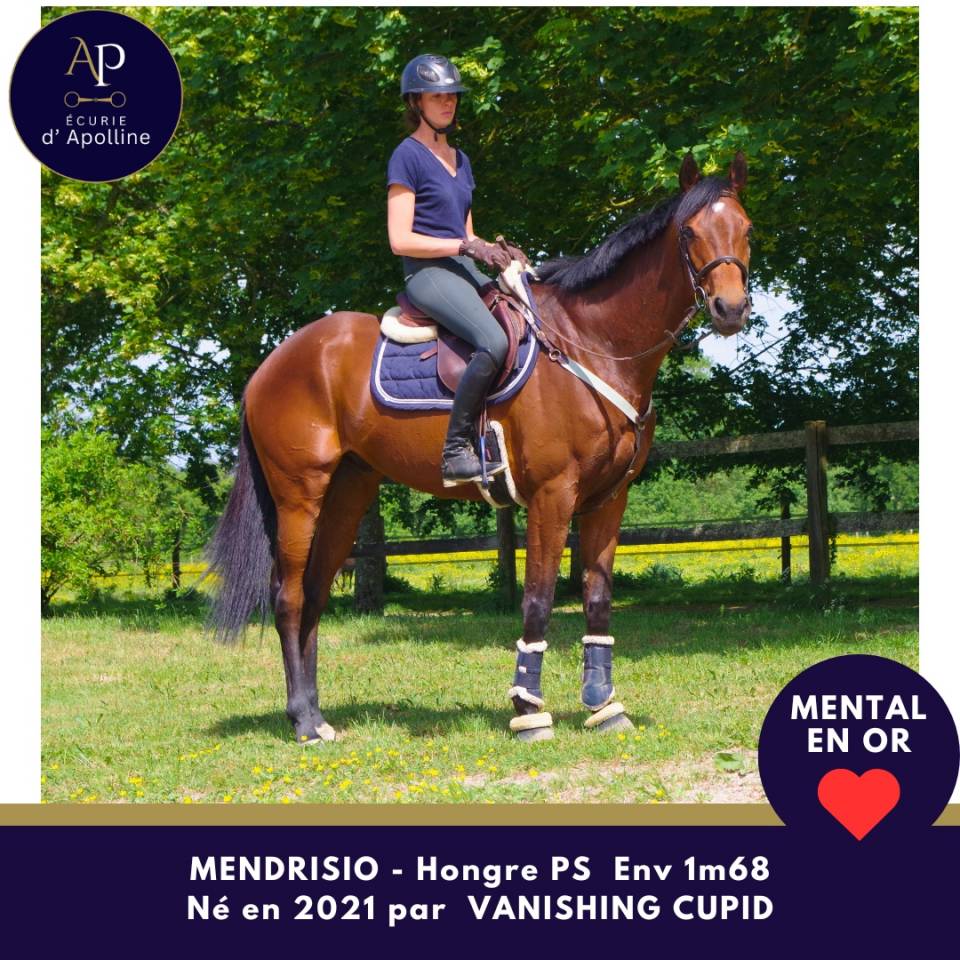 5 ans env 1m68 magnifique et top mental