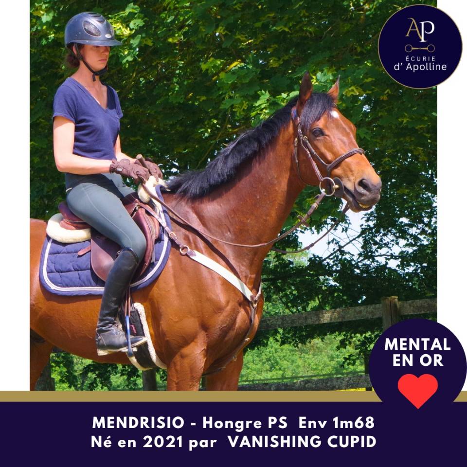 5 ans env 1m68 magnifique et top mental